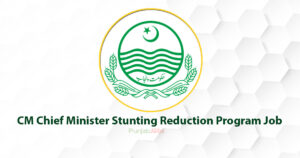 CM Chief Minister Stunting Reduction Program Job 2022