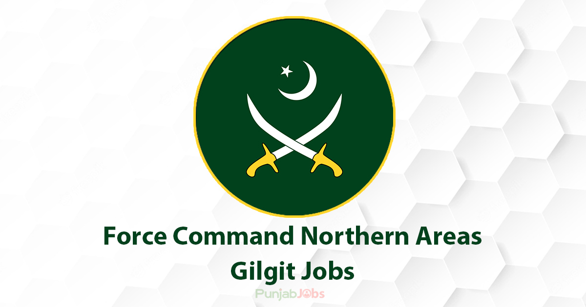 Force Command Northern Areas Gilgit Jobs 2022