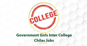 Government Girls Inter College Chilas Jobs 2022
