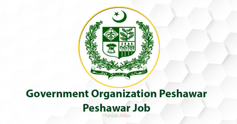 Government Organization Peshawar Peshawar Job 2022