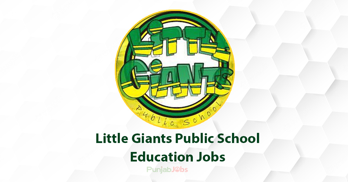 Little Giants Public School Education Jobs Faisalabad 2022