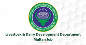 Livestock & Dairy Development Department Multan Job 2022
