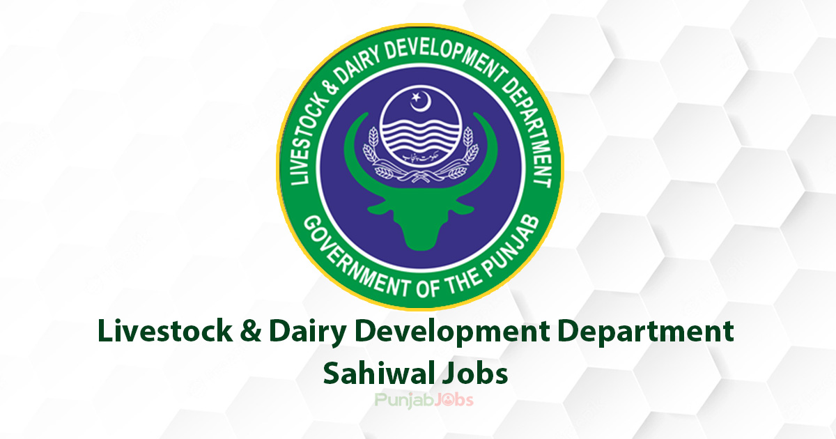 Livestock & Dairy Development Department Sahiwal Jobs 2022