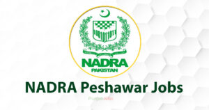 NADRA Peshawar Jobs 2022