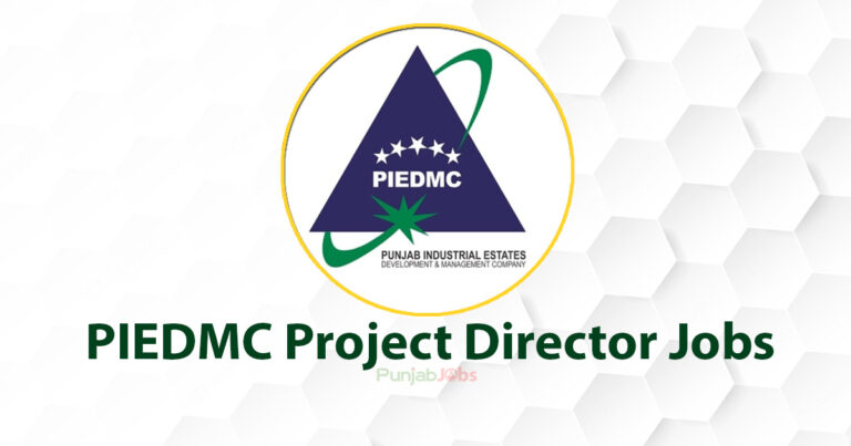 PIEDMC Project Director Jobs 2022