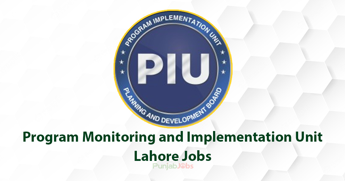 Program Monitoring and Implementation Unit Lahore Jobs 2022