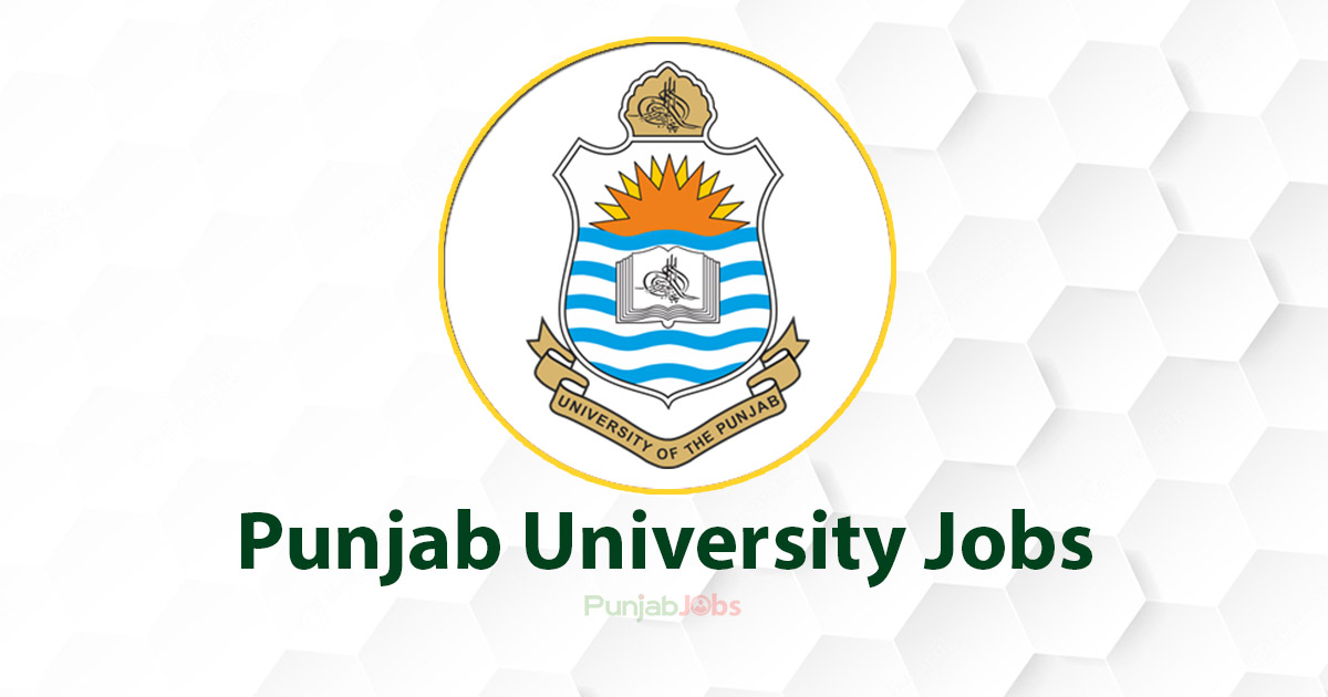 Punjab University Jobs 2022