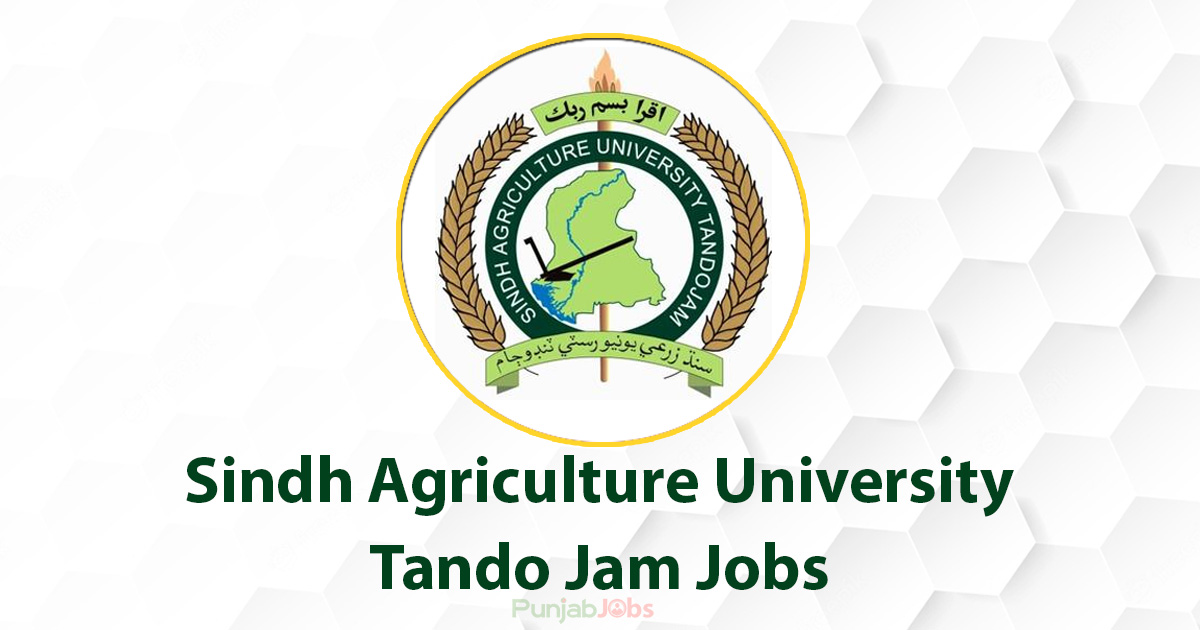 Sindh Agriculture University Tando Jam Jobs 2022