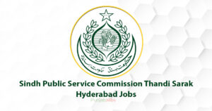 Sindh Public Service Commission Thandi Sarak Hyderabad Jobs 2022
