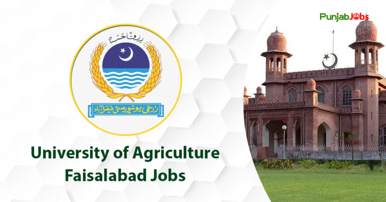 University of Agriculture Faisalabad Jobs 2023