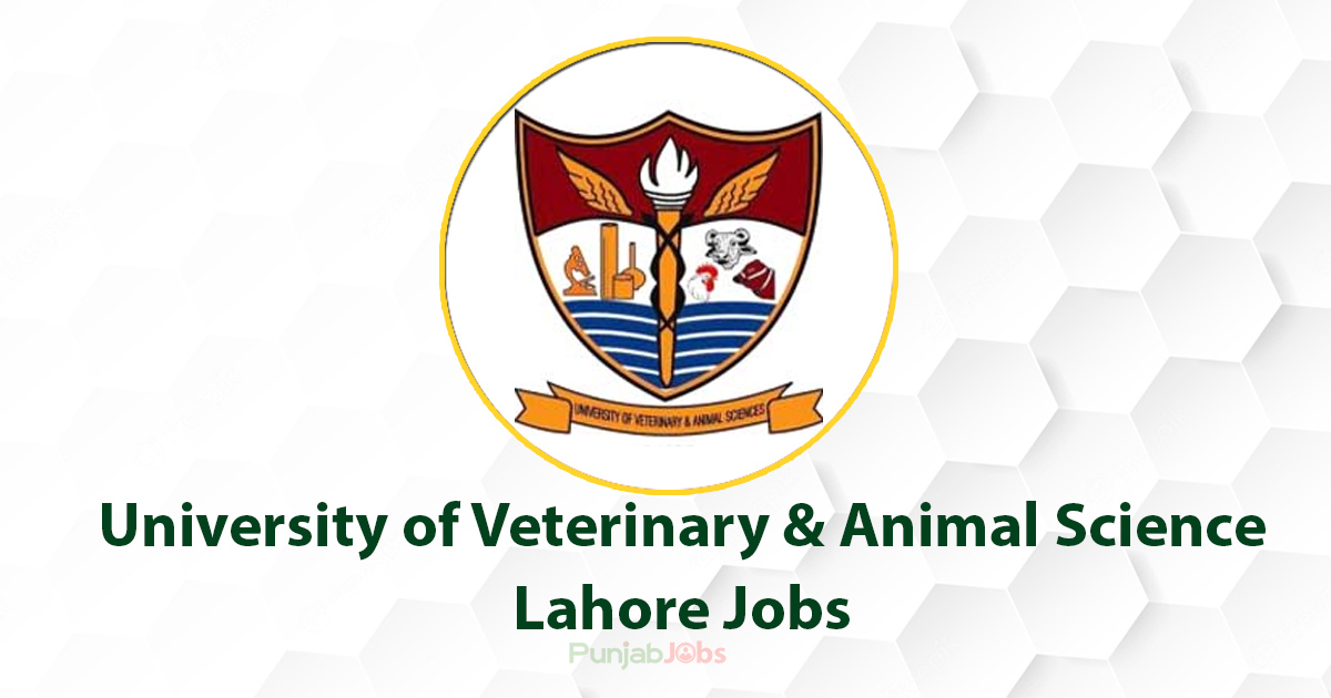 University of Veterinary & Animal Sciences Lahore Jobs 2022