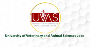 University of Veterinary and Animal Sciences Jobs 2022