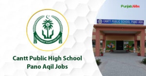 Cantt Public High School Pano Aqil Jobs 2023