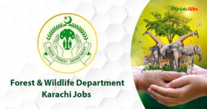 Forest & Wildlife Department Karachi Jobs 2023