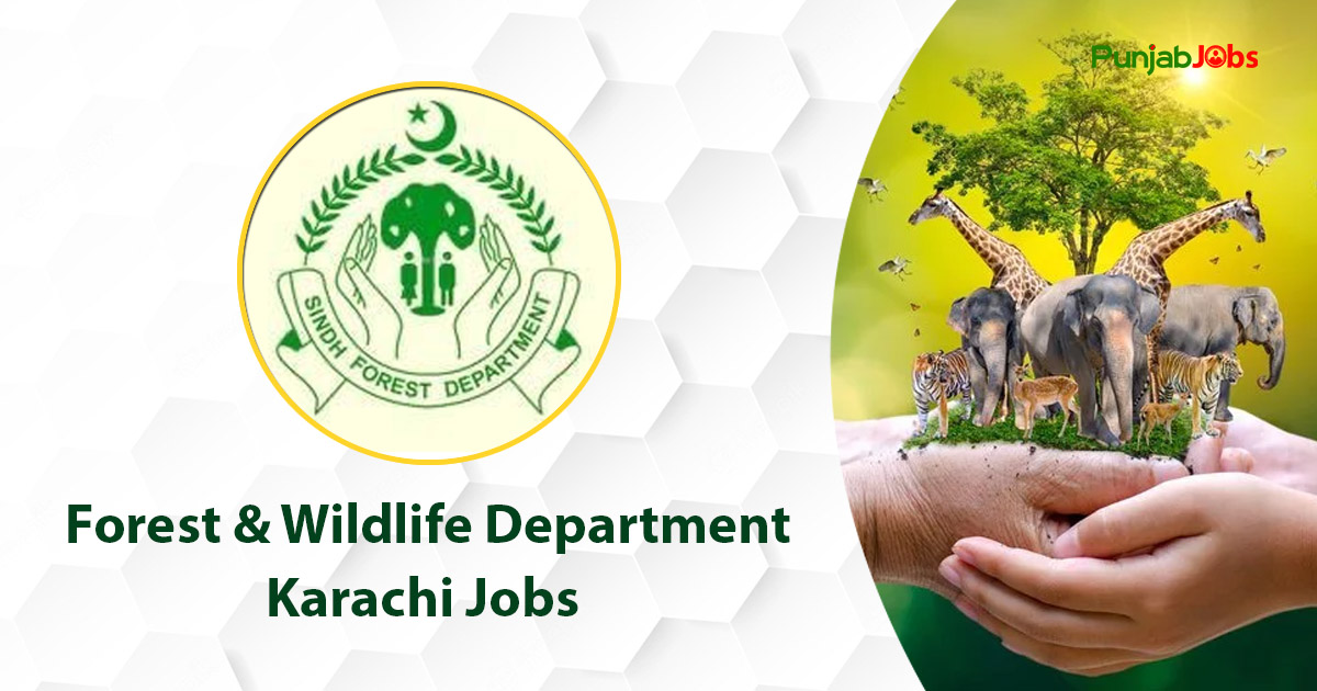 Forest & Wildlife Department Karachi Jobs 2023