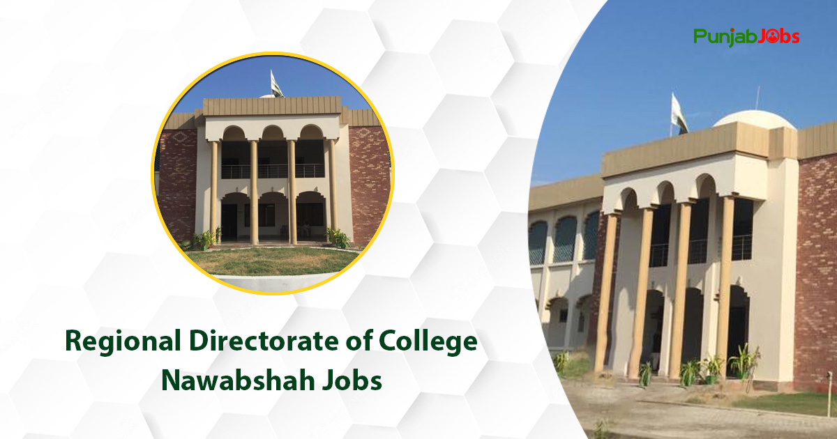 Regional Directorate of College Nawabshah Jobs 2023