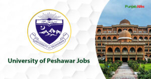 University of Peshawar Jobs 2023