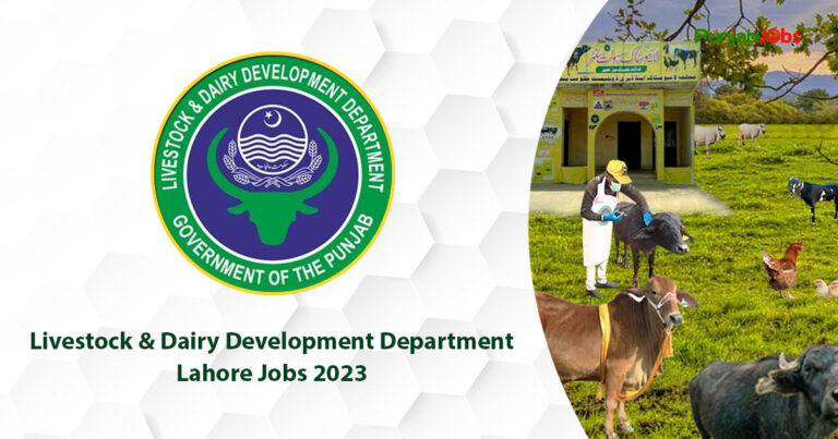 Livestock & Dairy Development Department Lahore Jobs 2023