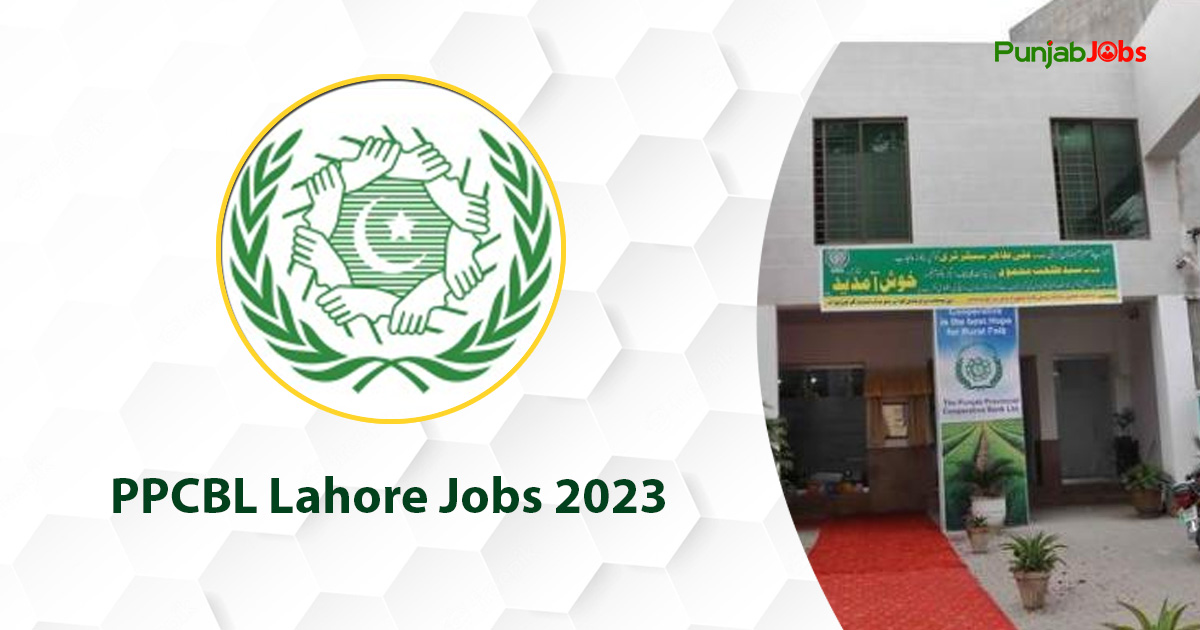PPCBL Lahore Jobs 2023